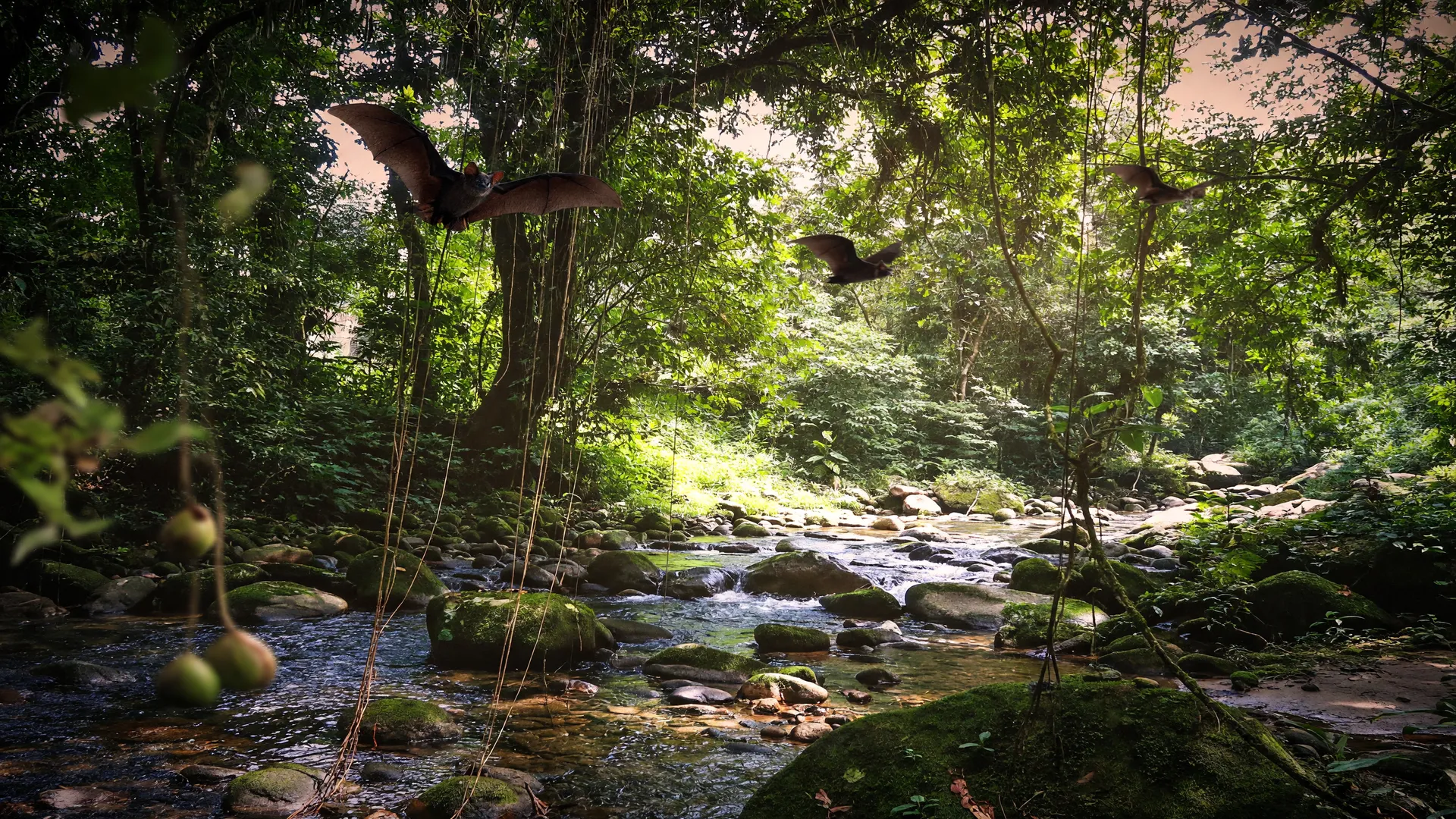 Floresta densa com morcegos em voo ao entardecer, símbolo da restauração florestal da Mata Atlântica por morcegos