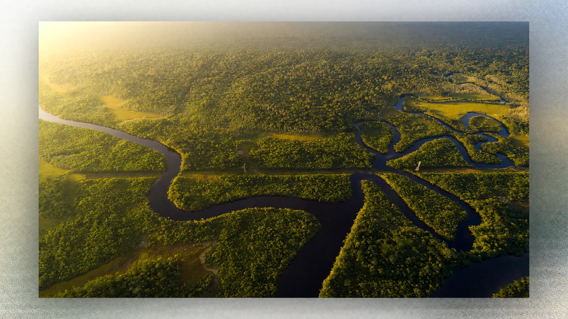 Vista aérea da floresta amazônica com rios sinuosos, ilustrando políticas públicas bioeconomia Amazônia