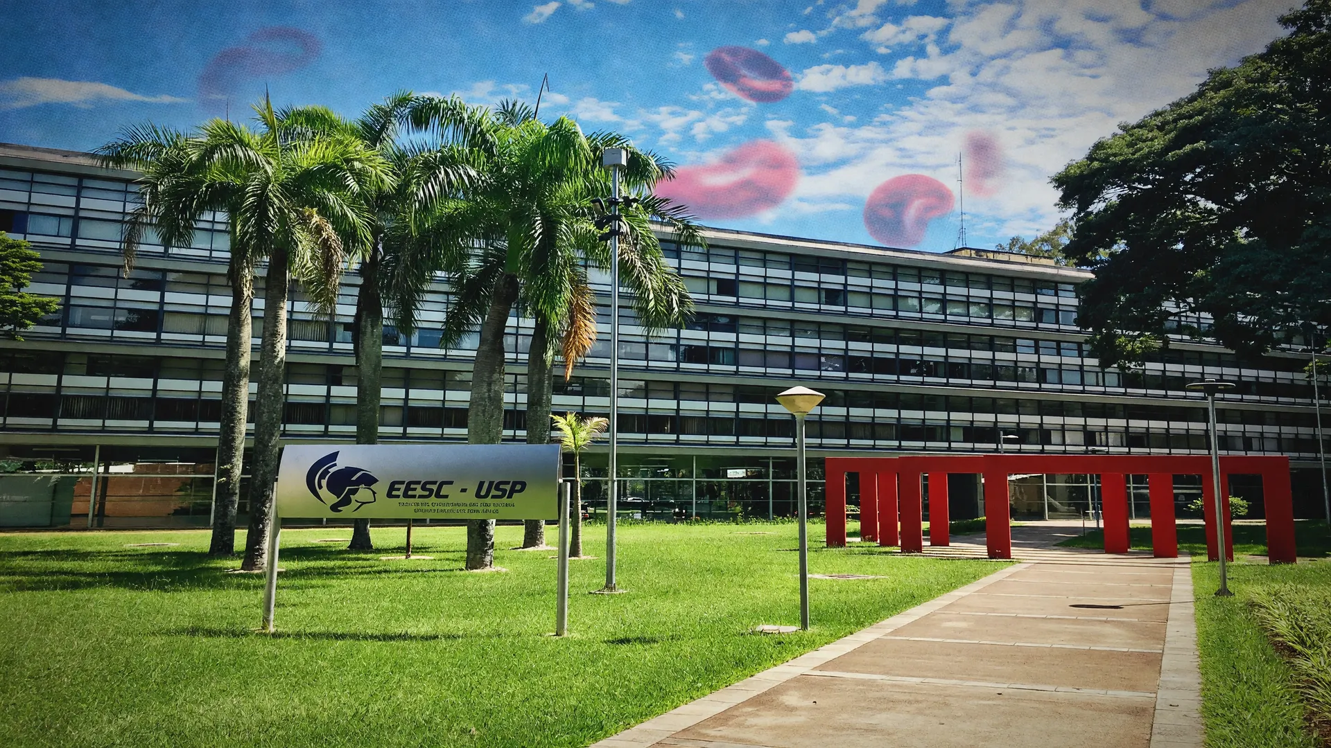 Prédio moderno da USP, instituição que participou do estudo sobre a proteína BACH2 anemia falciforme