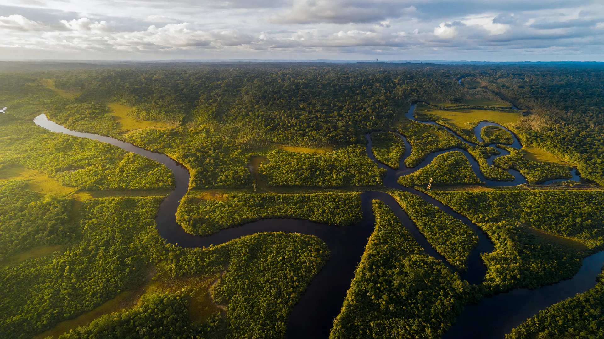 Vista aérea da floresta amazônica com rios sinuosos, simbolizando a reeleição de Lula na Amazônia