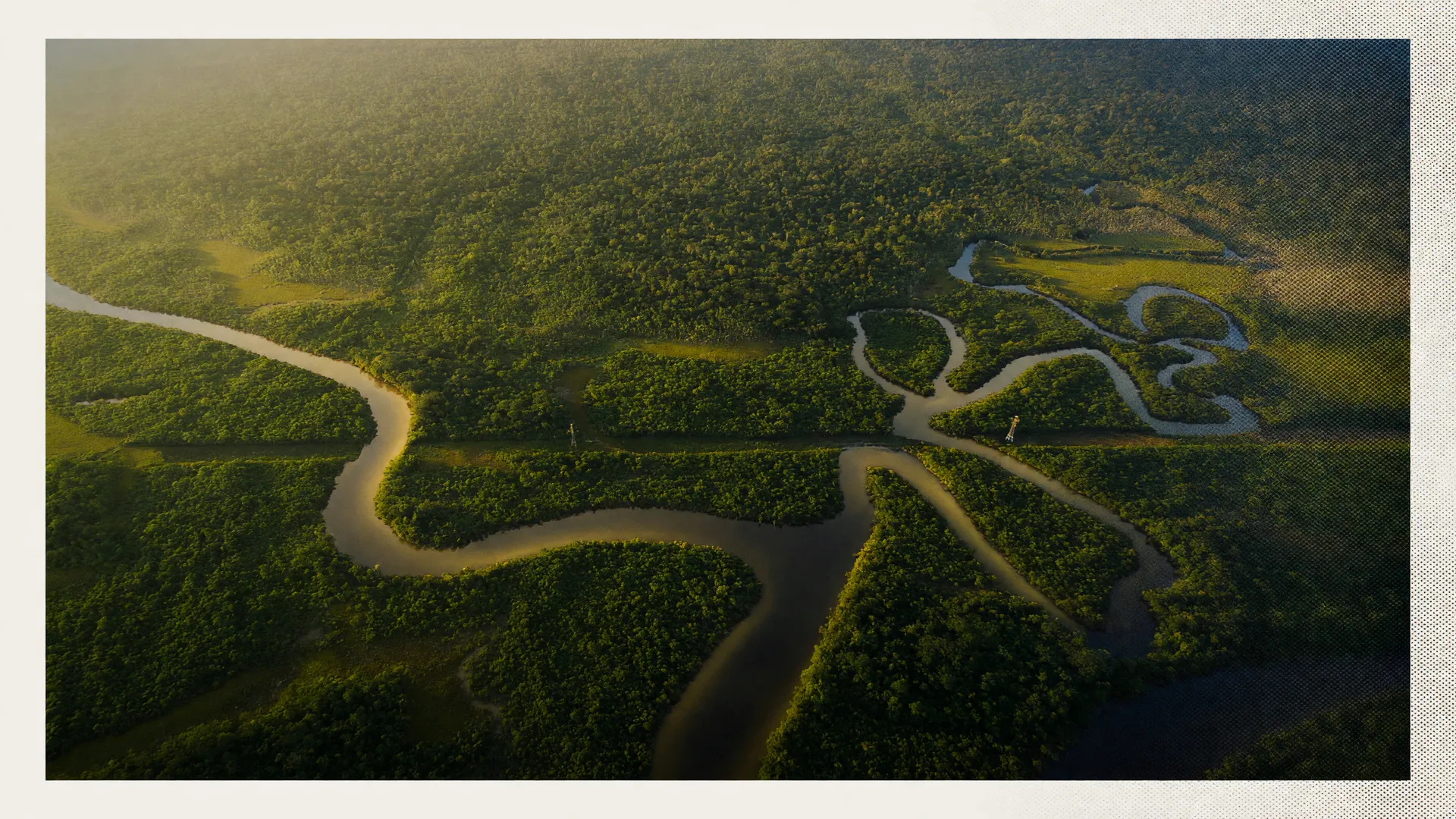 Vista aérea da floresta amazônica, símbolo dos remédios não descobertos na Amazônia e do risco do desmatamento