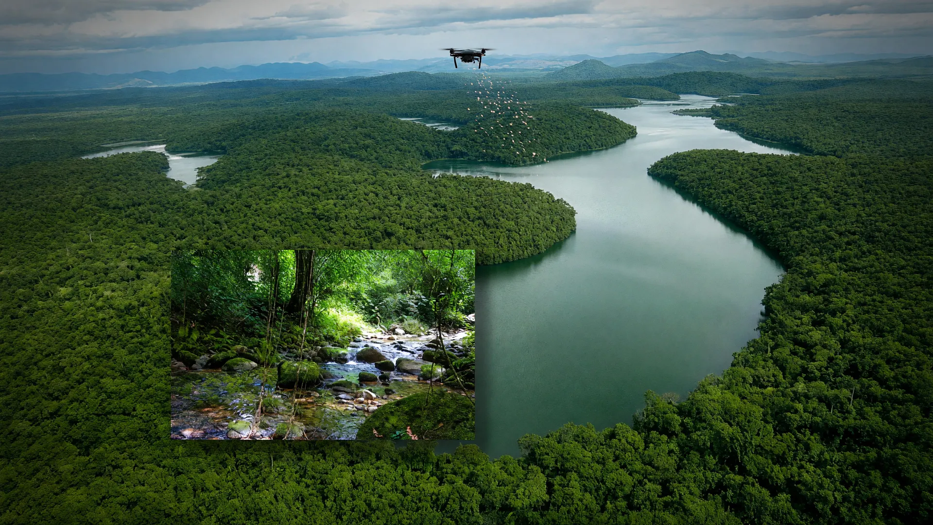 Restauração de encostas com drones: vista aérea da Mata Atlântica com cobertura florestal contínua sobre as montanhas
