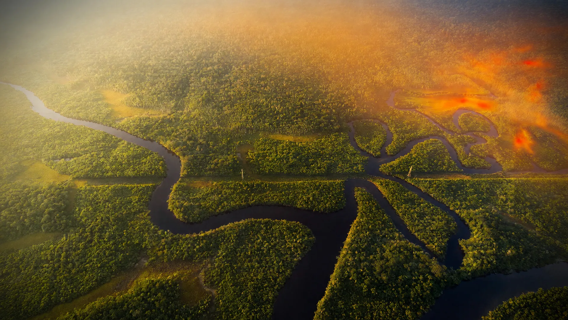 Floresta amazônica vista do alto sob calor intenso, ilustrando o risco de secas extremas na Amazônia até 2100