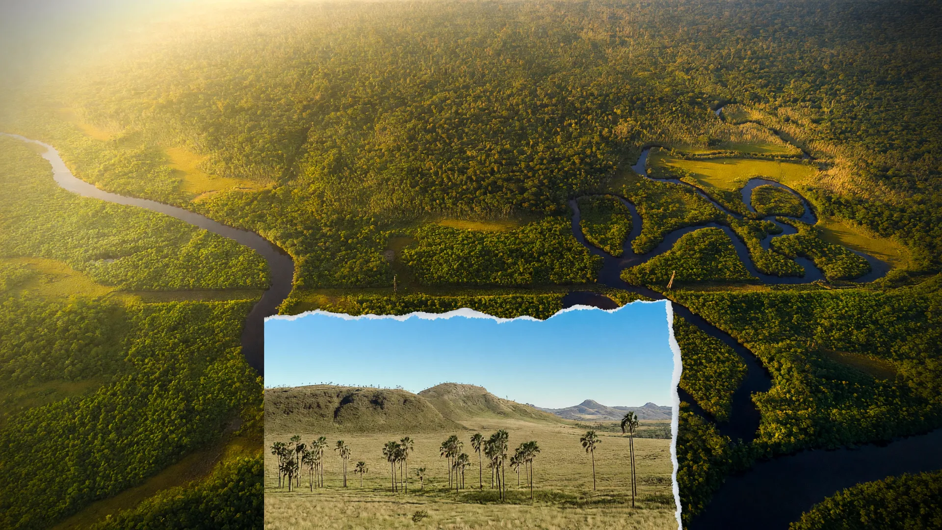Vista aérea da Amazônia e paisagem do Cerrado ilustrando a queda da taxa de desmatamento Amazônia Cerrado