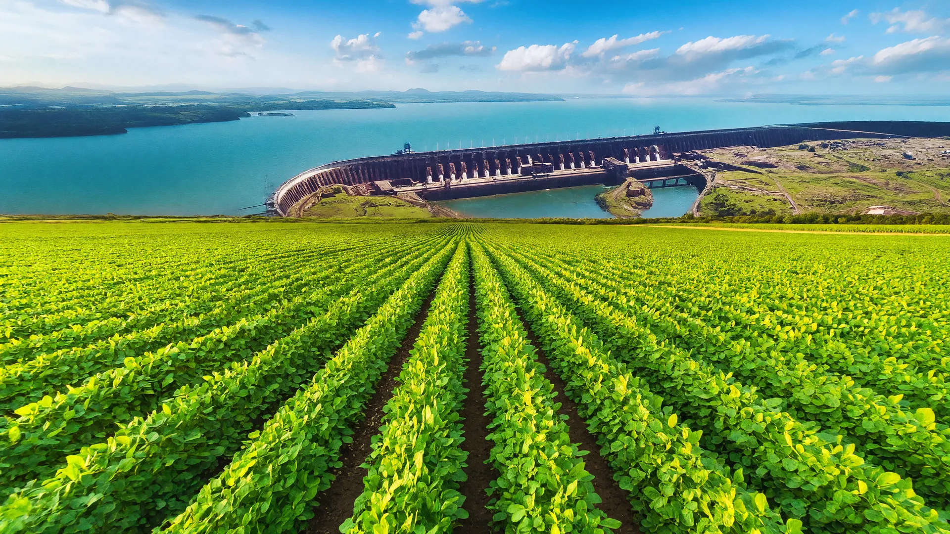 Lavoura de soja no Paraná com a barragem de Itaipu ao fundo, ilustrando terraços contra erosão do solo