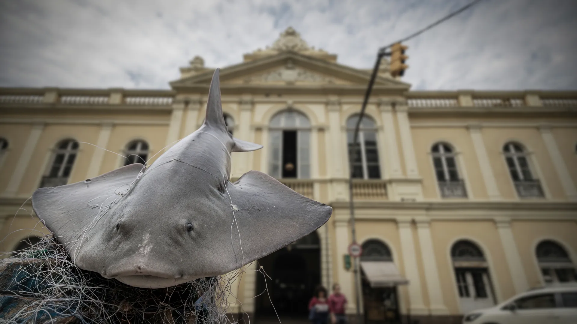 Tubarão-anjo proibido no RS é vendido no Mercado Público de Porto Alegre e na merenda escolar